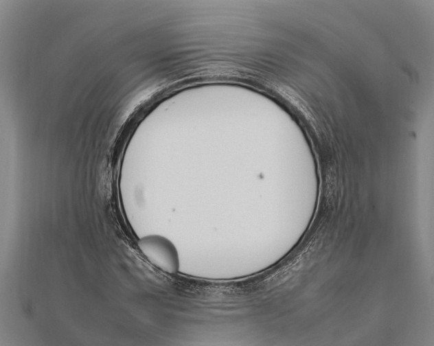 X0000111531067200908041300