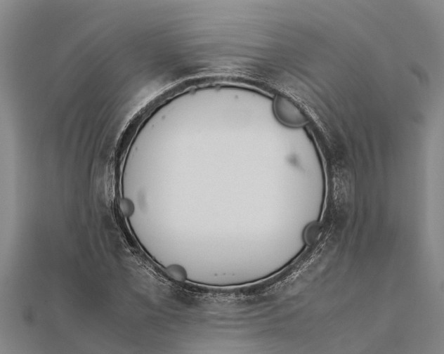 X0000111531069200908041300