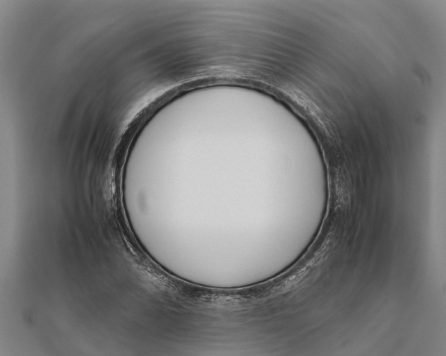 X0000111531070200908041300