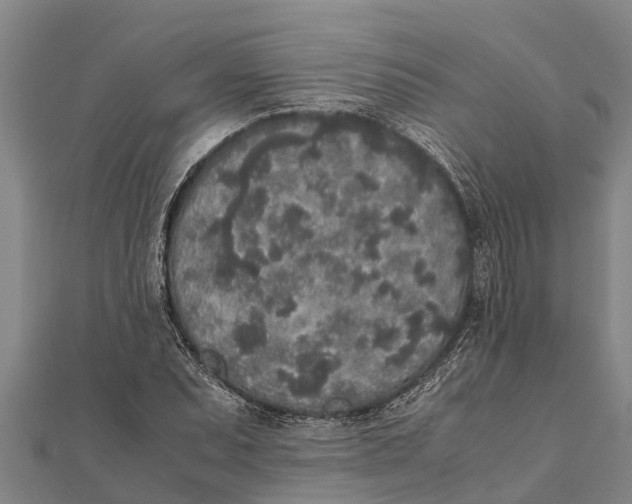 X0000111531071200908041300