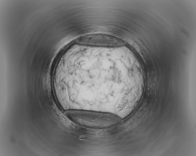 X0000111531072200908041300