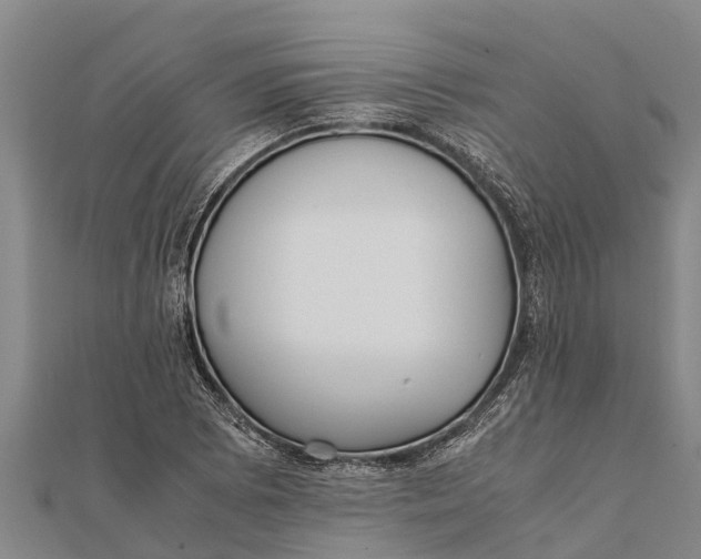 X0000111531073200908041300