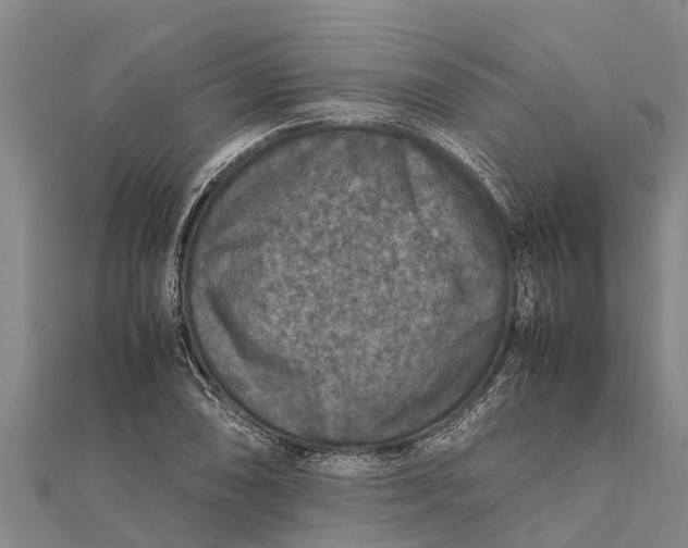 X0000111531074200908041300