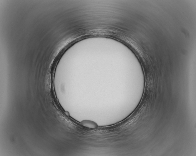 X0000111531075200908041300