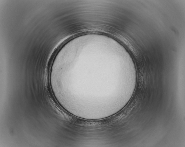 X0000111531076200908041300