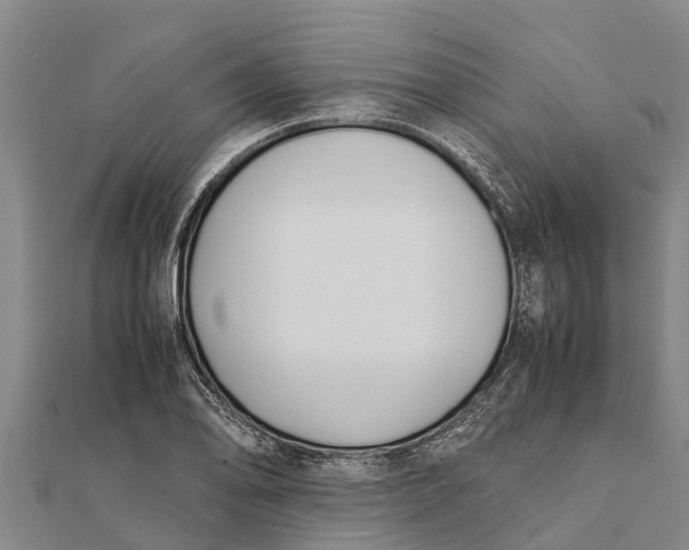 X0000111531078200908041300