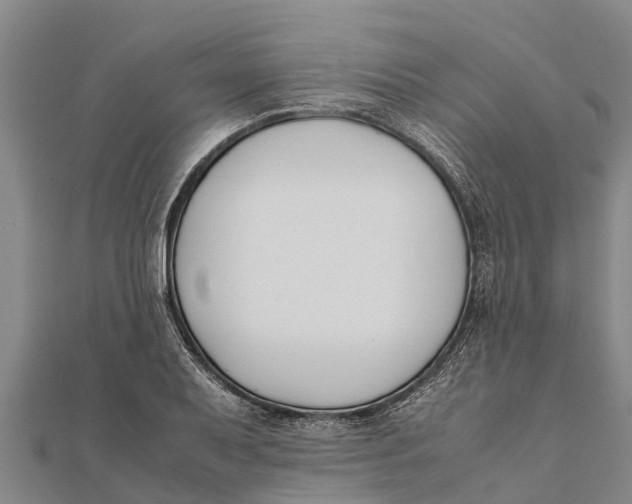 X0000111531079200908041300