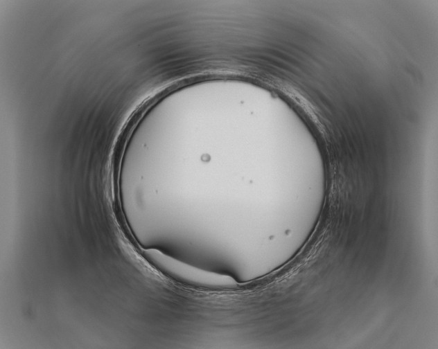 X0000111531080200908041300