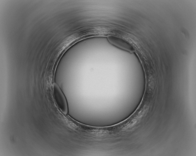 X0000111531081200908041300