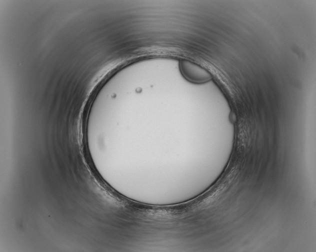 X0000111531082200908041300