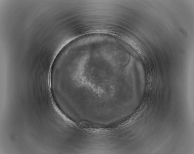 X0000111531084200908041300