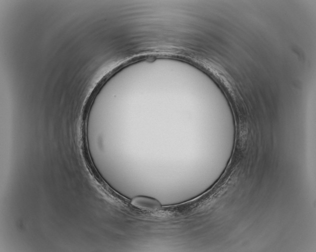 X0000111531085200908041300