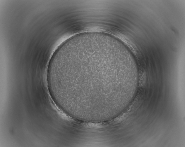 X0000111531086200908041300