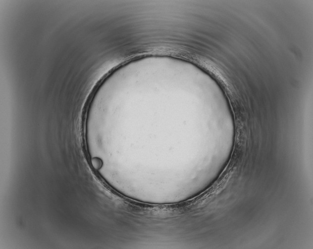 X0000111531087200908041300