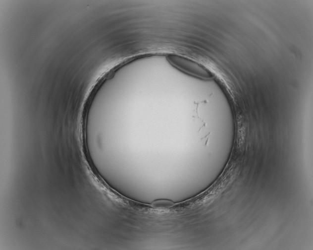 X0000111531088200908041300