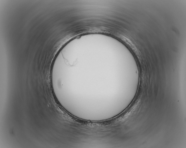 X0000111531089200908041300