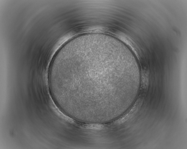 X0000111531090200908041300