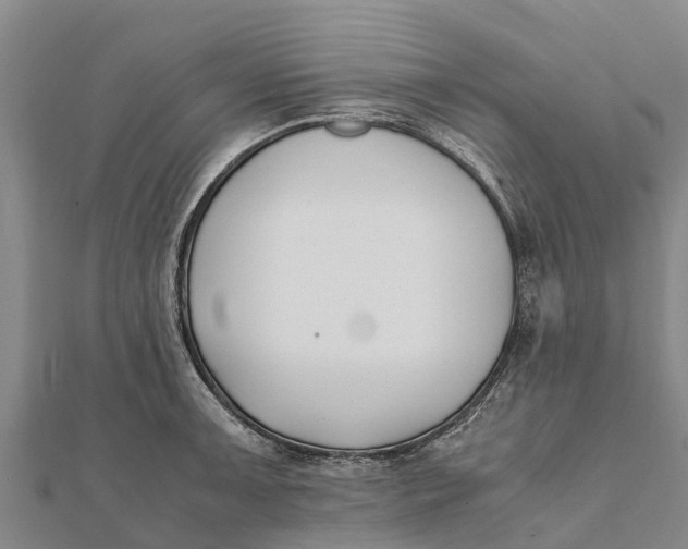 X0000111531091200908041300