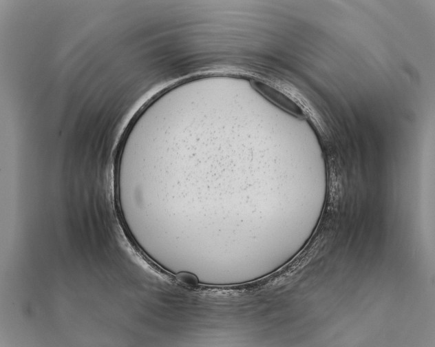 X0000111531092200908041300