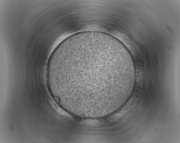 X0000111531094200908041300