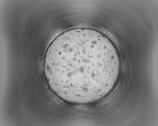 X0000111531097200908041300