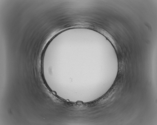 X0000111531099200908041300