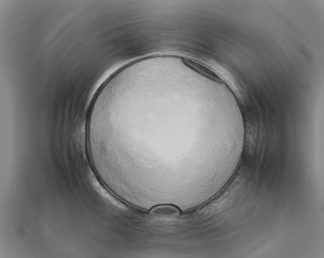 X0000111531100200908041300