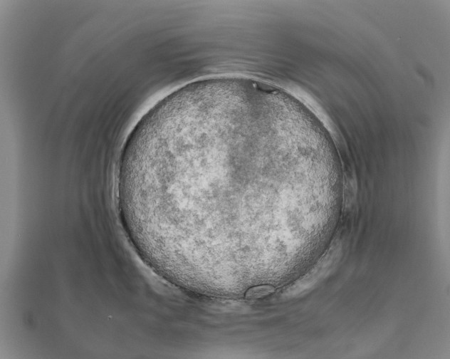 X0000111531101200908041300