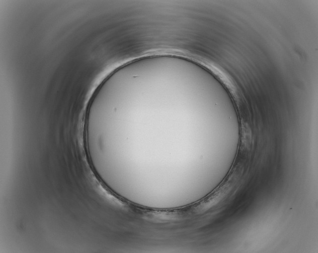 X0000111531102200908041300