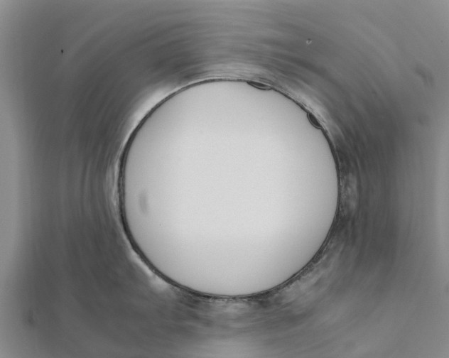 X0000111531103200908041300