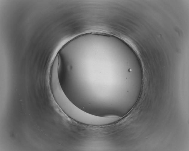 X0000111531104200908041259