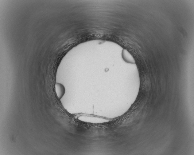 X0000111531105200908041259