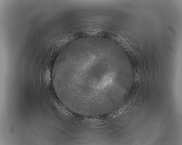 X0000111531106200908041259