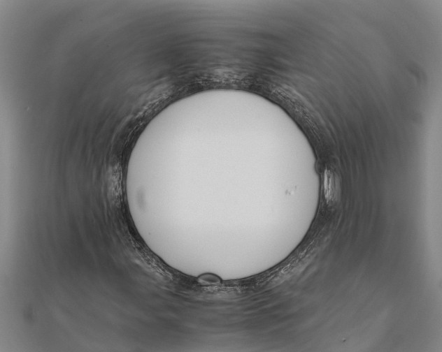 X0000111531107200908041259