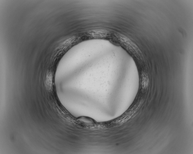 X0000111531108200908041259