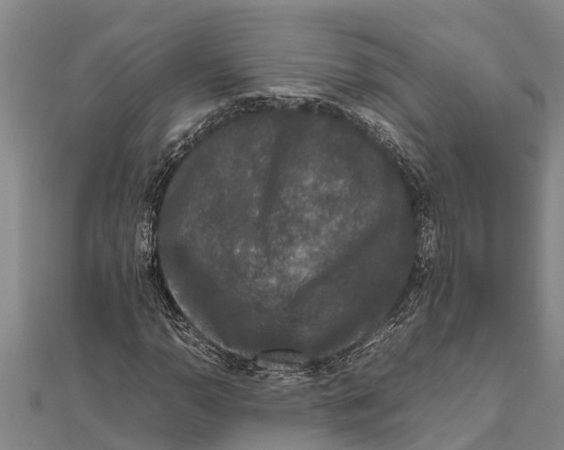 X0000111531110200908041259