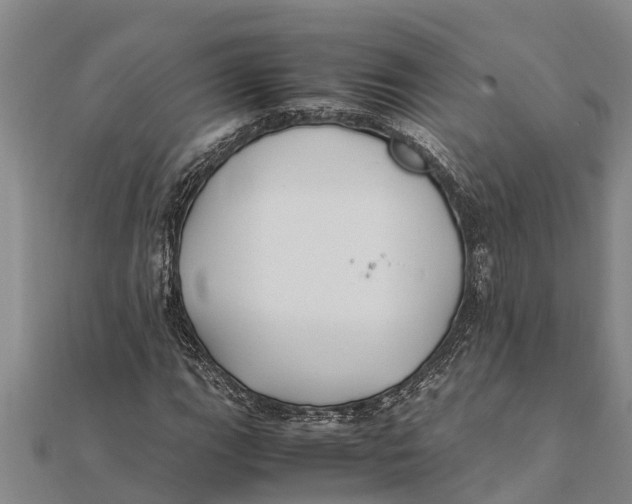 X0000111531111200908041259