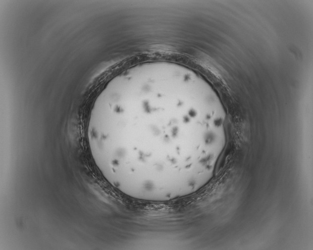 X0000111531112200908041259