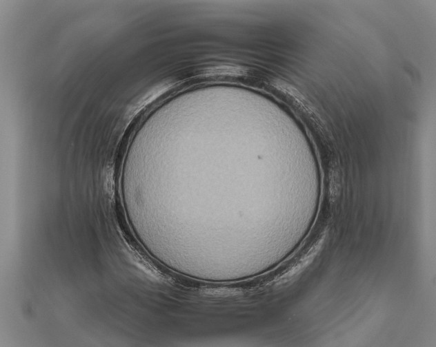 X0000111531113200908041259