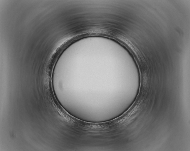 X0000111531115200908041259