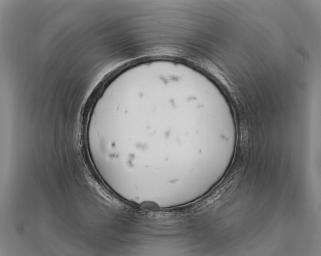 X0000111531116200908041259