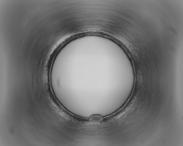 X0000111531118200908041259