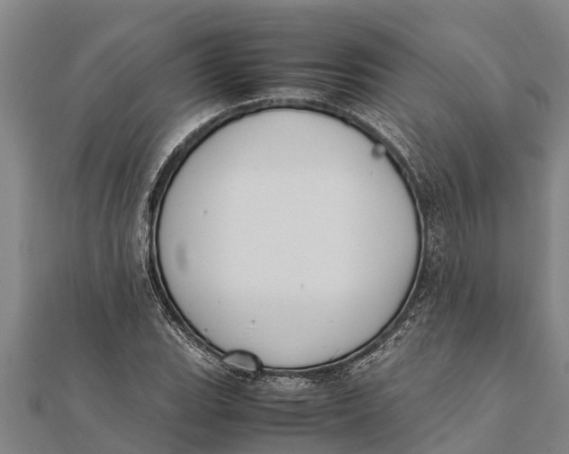 X0000111531119200908041259