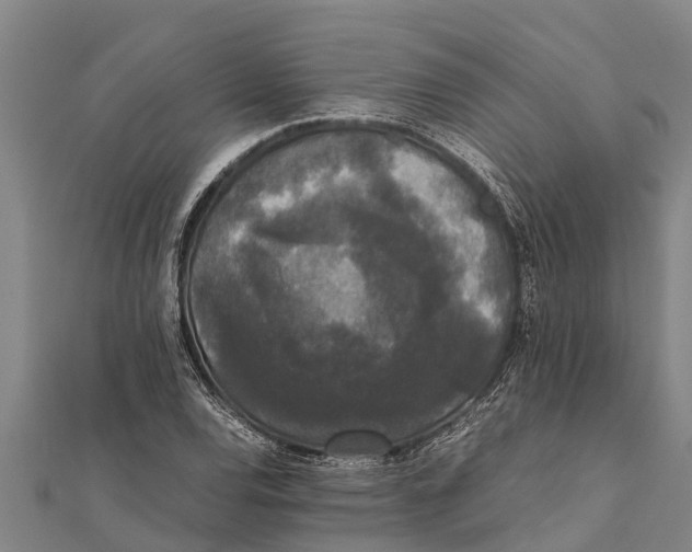 X0000111531120200908041259