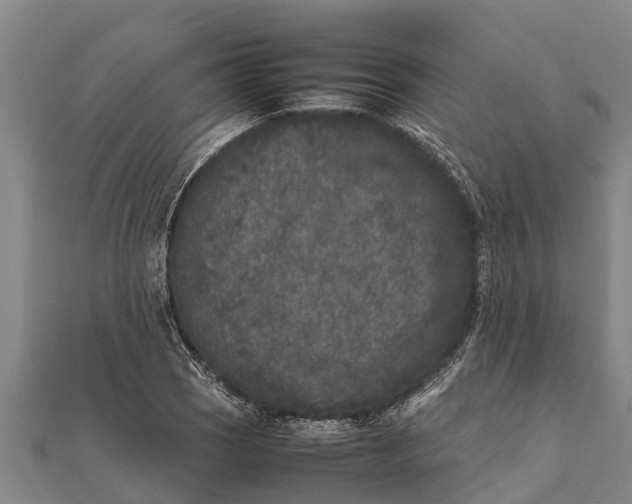 X0000111531121200908041259