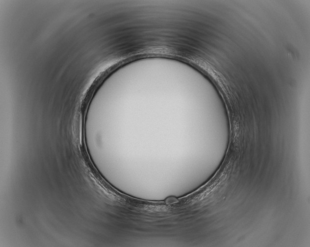 X0000111531123200908041259