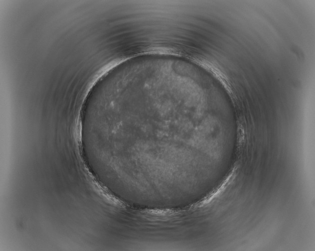 X0000111531125200908041259