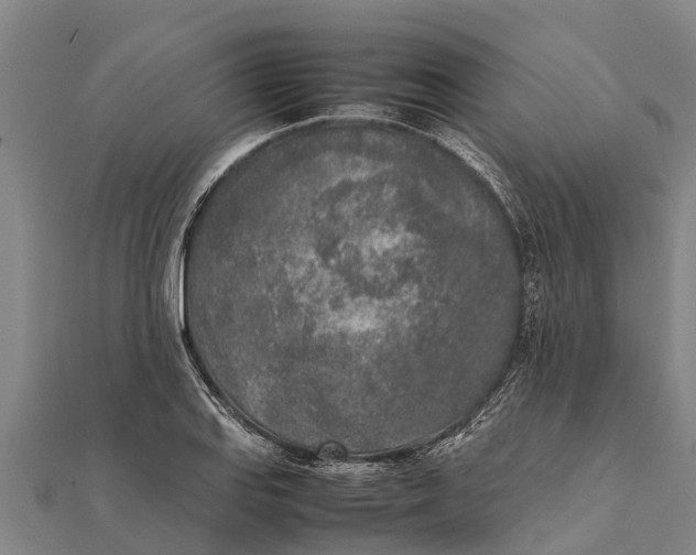 X0000111531127200908041259