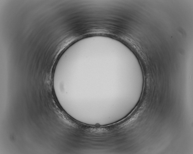 X0000111531129200908041259