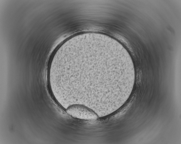 X0000111531130200908041259